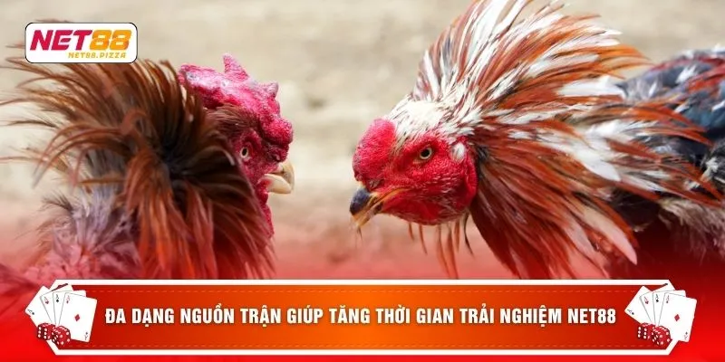 Đa dạng nguồn trận giúp tăng thời gian trải nghiệm NET88