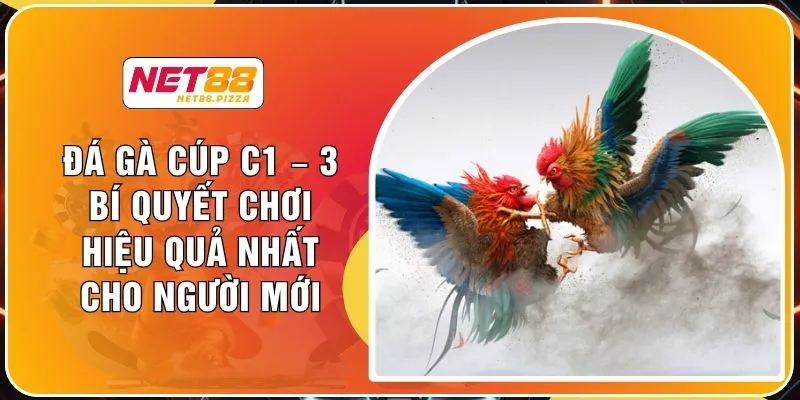 Đá Gà Cúp C1 – 3 Bí Quyết Chơi Hiệu Quả Nhất Cho Người Mới