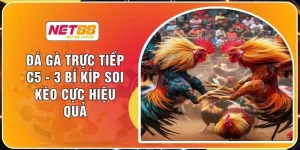 Đá Gà Trực Tiếp C5 - 3 Bí Kíp Soi Kèo Cực Hiệu Quả