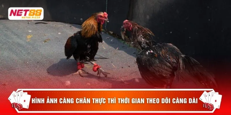 Hình ảnh càng chân thực thì thời gian theo dõi càng dài