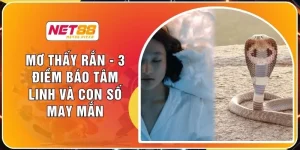 Mơ Thấy Rắn - 3 Điềm Báo Tâm Linh Và Con Số May Mắn