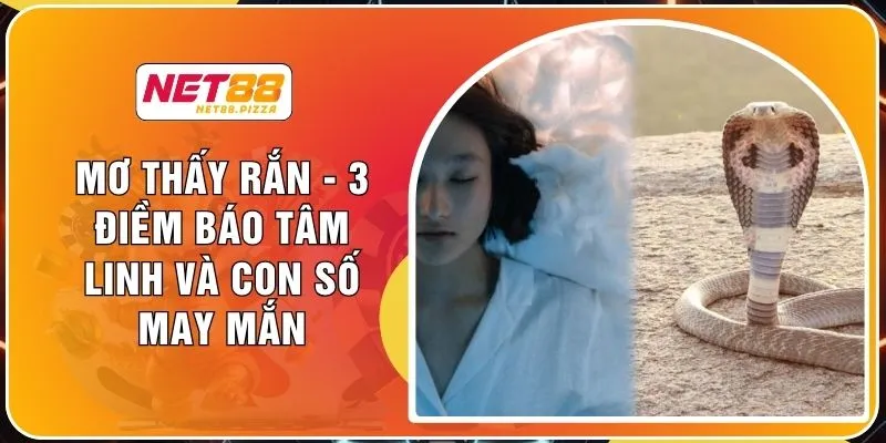 Mơ Thấy Rắn - 3 Điềm Báo Tâm Linh Và Con Số May Mắn