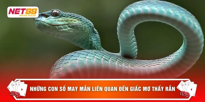 Những con số may mắn liên quan đến giấc mơ thấy rắn