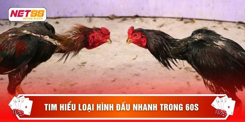 Tim hiểu loại hình Đấu Nhanh trong 60s