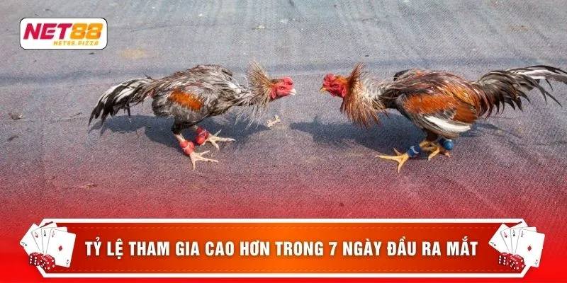 Tỷ lệ tham gia cao hơn trong 7 ngày đầu ra mắt
